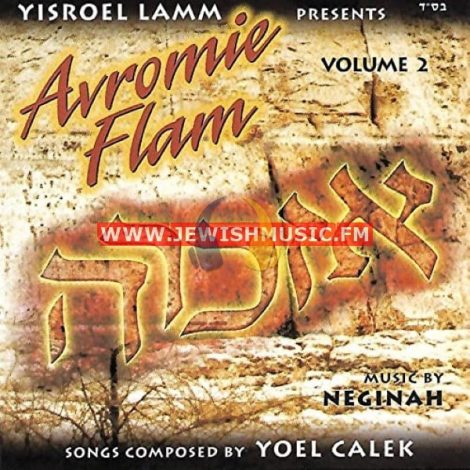 Avrumi Flam Jewishmusic Fm