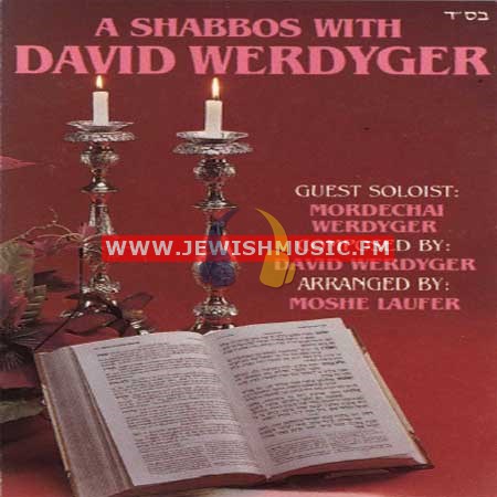 A Shabbos With David