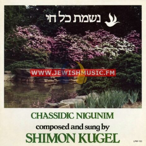 Chassidic Nigunim