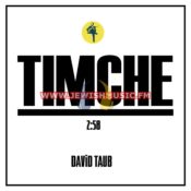 Timche (Single)