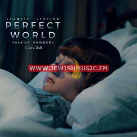 A Perfect World – Spanish Version (סינגל)