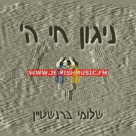 Nigun Chai Hashem (Single)