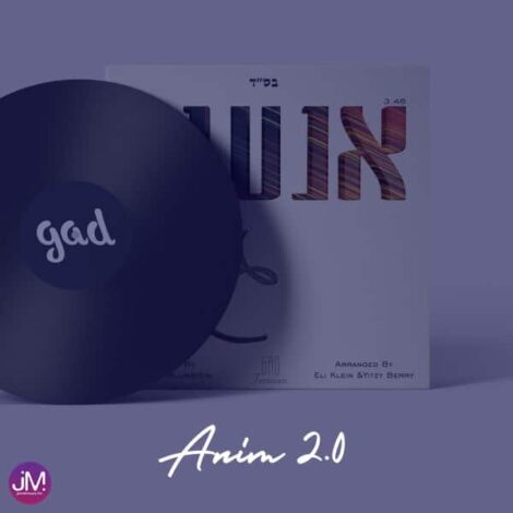 Anim 2.0 (Single)